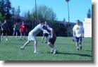 DSC02669 * 2048 x 1360 * (1.37MB)