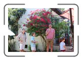 poolparty_38 * 2896 x 1944 * (1.43MB)