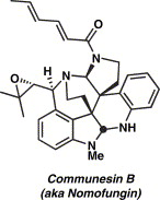 53
